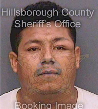 Hernandezroque Raudel - Hillsborough County, FL 