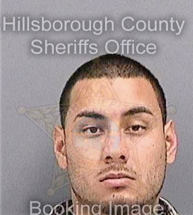 Barreiro Andres - Hillsborough County, FL 