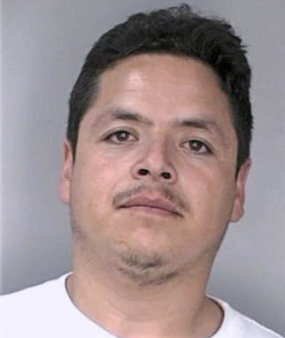 Saenztorres Arturo - Hillsborough County, FL 