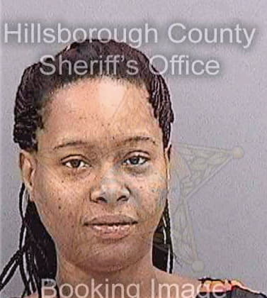 Scott Chandra - Hillsborough County, FL 
