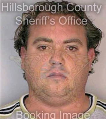 Landenberger Daniel - Hillsborough County, FL 