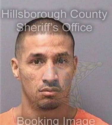Silva Nicholas - Hillsborough County, FL 