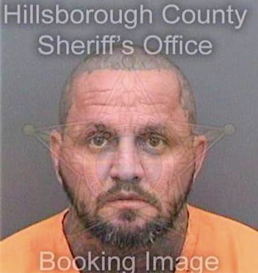 Mclaughlin Shane - Hillsborough County, FL 