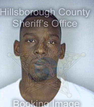 Ware Alexander - Hillsborough County, FL 
