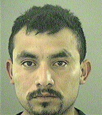 Hernandez Joel - Gwinnett County, GA 