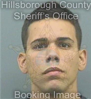 Alvarezquinones Jonathan - Hillsborough County, FL 