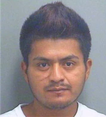 Sanchez Macario - PalmBeach County, FL 