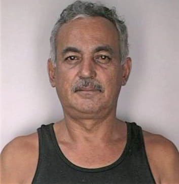 Gonzalez Nelson - Hillsborough County, FL 