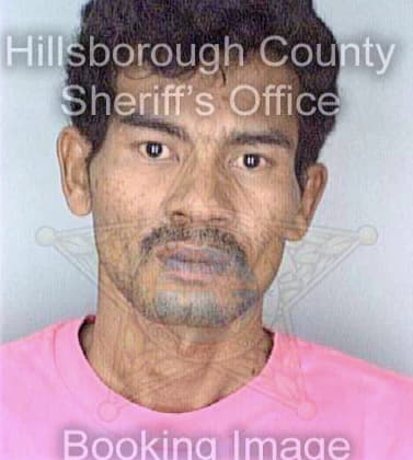 Tran Be - Hillsborough County, FL 