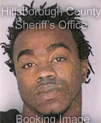 Williams Deanthony - Hillsborough County, FL 