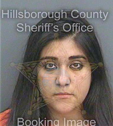 Meza Marisol - Hillsborough County, FL 