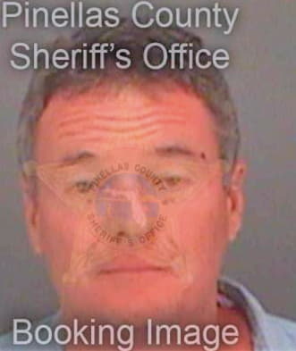 Callahan Hamlin - Pinellas County, FL 
