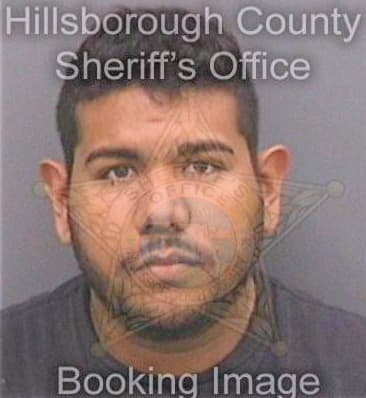 Hall Kenneth - Hillsborough County, FL 