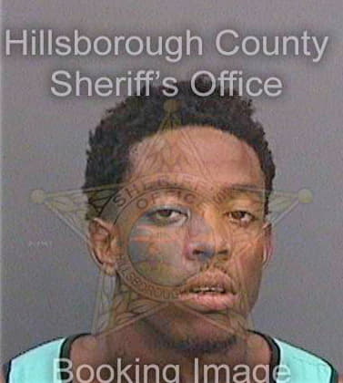 Dantzler Linwood - Hillsborough County, FL 