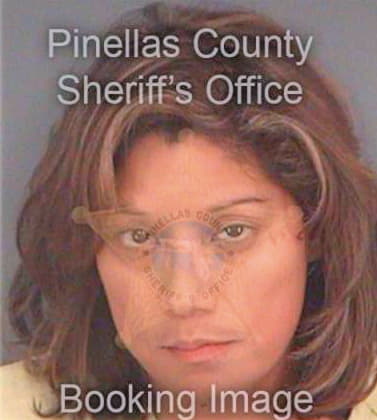 Reyes Patricia - Pinellas County, FL 