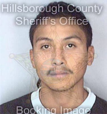 Enriquez Victor - Hillsborough County, FL 