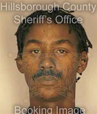 Raggins Willie - Hillsborough County, FL 