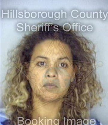 Borges Emelvia - Hillsborough County, FL 