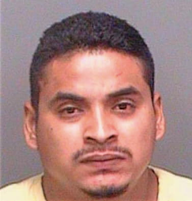 Pena Jose - Pinellas County, FL 