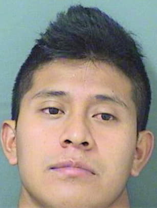 Gomezdelacruz Juan - PalmBeach County, FL 