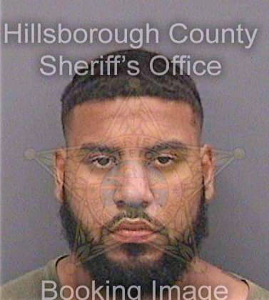 Riordan Kevarious - Hillsborough County, FL 