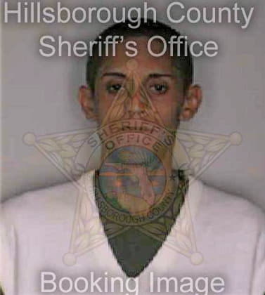 Figueroa Oquendo - Hillsborough County, FL 