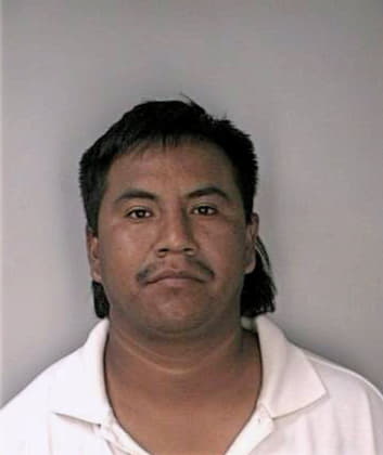 Mejia Saul - Hillsborough County, FL 
