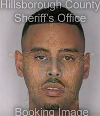 Negron Carlos - Hillsborough County, FL 