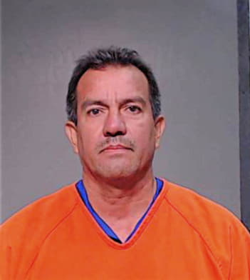 Mendoza Daniel - Hidalgo County, TX 
