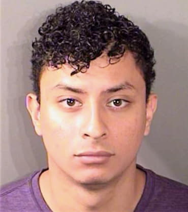 Carballo Hector - Denton County, TX 