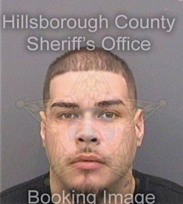 Delvalle Jose - Hillsborough County, FL 