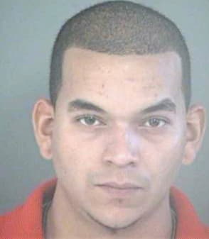Santana Steve - Hillsborough County, FL 