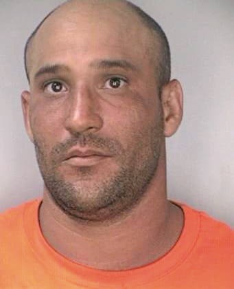 Pachecoramirez Victor - Hillsborough County, FL 