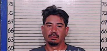 Ramos Dominic - Comal County, TX 