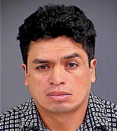 Molina Alfonso - Charleston County, SC 