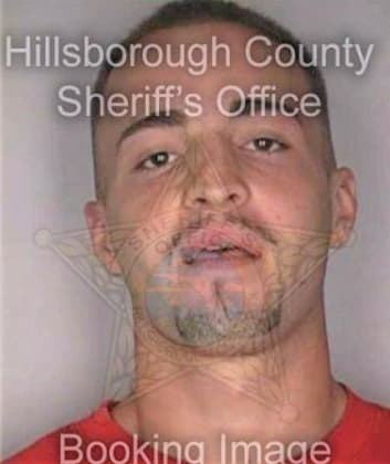 Mendez Bismark - Hillsborough County, FL 