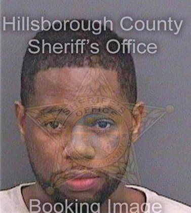 Brown Cameron - Hillsborough County, FL 