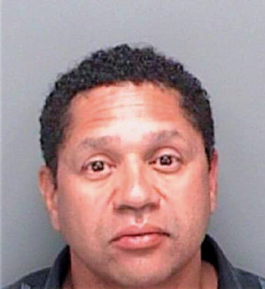 Segarra Robert - Pinellas County, FL 