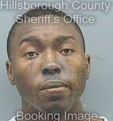 Price Ronnie - Hillsborough County, FL 