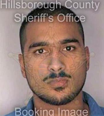 Hamid Aleem - Hillsborough County, FL 