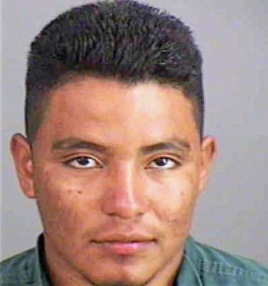 Lopez Antonio - Collier County, FL 
