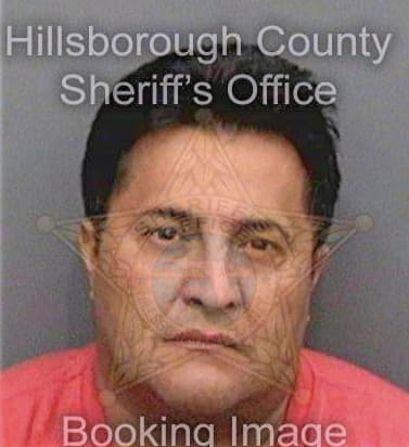 Tinocoortiz Henry - Hillsborough County, FL 