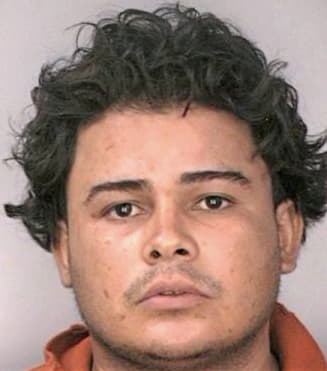 Banegas Santos - Hillsborough County, FL 