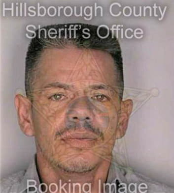 Medina Carlos - Hillsborough County, FL 