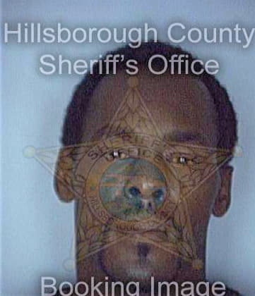 Brown James - Hillsborough County, FL 
