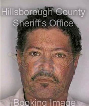 Diaz Melvin - Hillsborough County, FL 