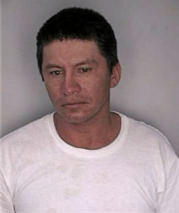 Lopezmendez Moises - Hillsborough County, FL 