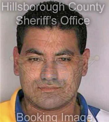 Carvajal Carlos - Hillsborough County, FL 