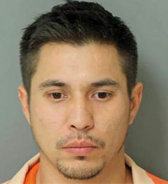 Dubon Joe - Wake County, NC 