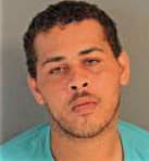 Johnson David - Shelby County, TN 